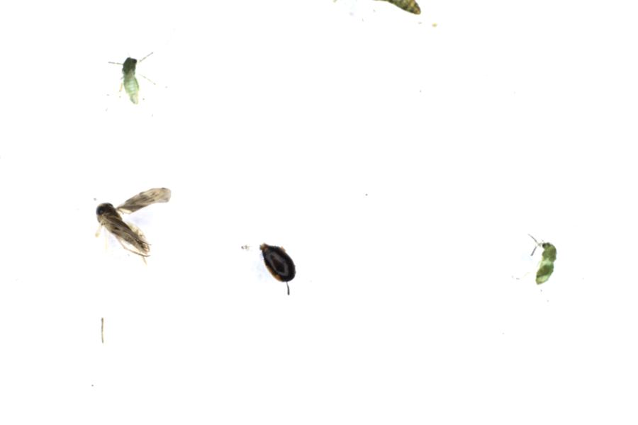 Image 53